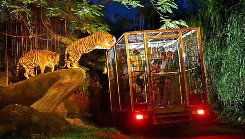 BALI-NIGHT-SAFARI-IN-BALU-SAFARI-and-MERINE-PARK