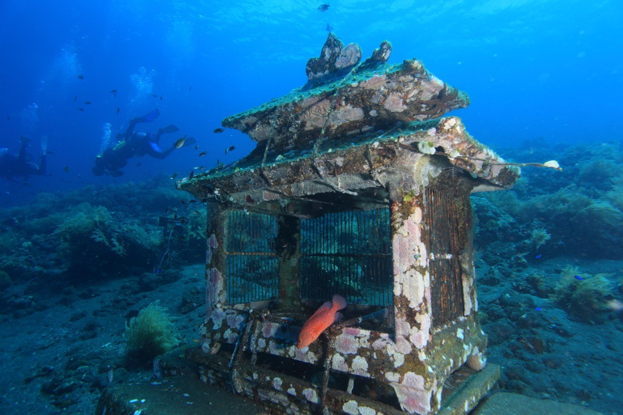 tribloo-spots-580-jukung-dive-center-amed-bali-indonesia-jemeluk-bay-diving-spot-site-tribloo-86c2d5aa223ae9854d5434c9cd11075e
