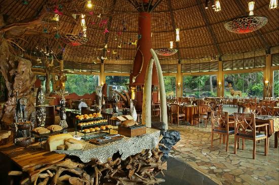 tsavo-lion-restaurant